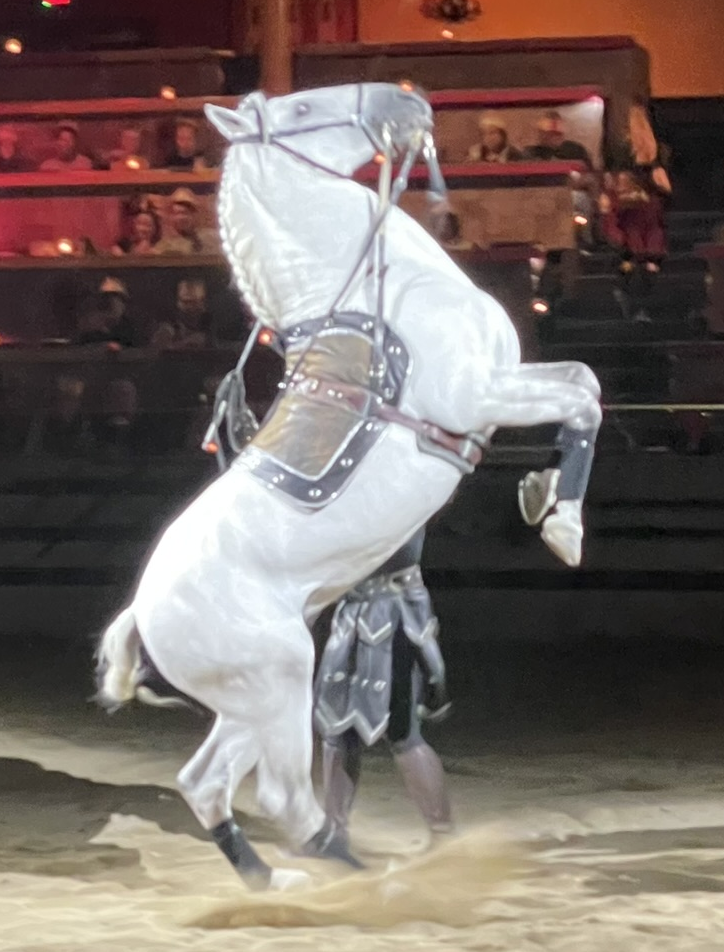 An Andalusian horse shows off by rearing up on two legs at Medieval Times in Buena Park, California